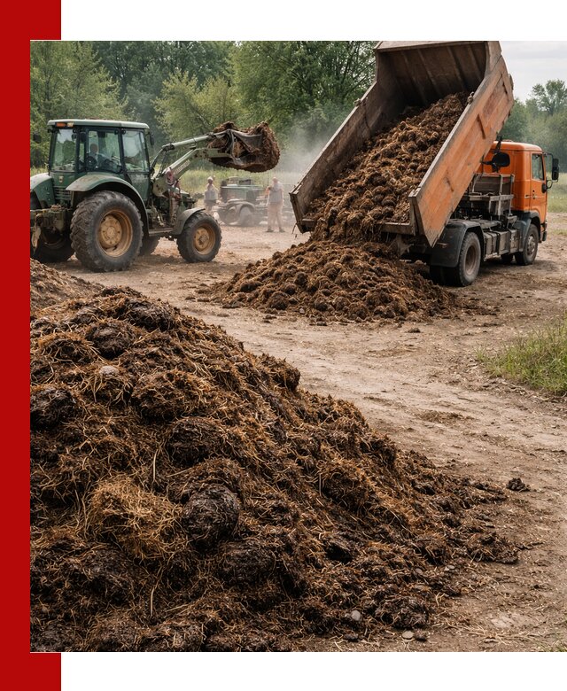 Доставка навоза самосвалами в Йошкар-Оле для сельхозпотребностей